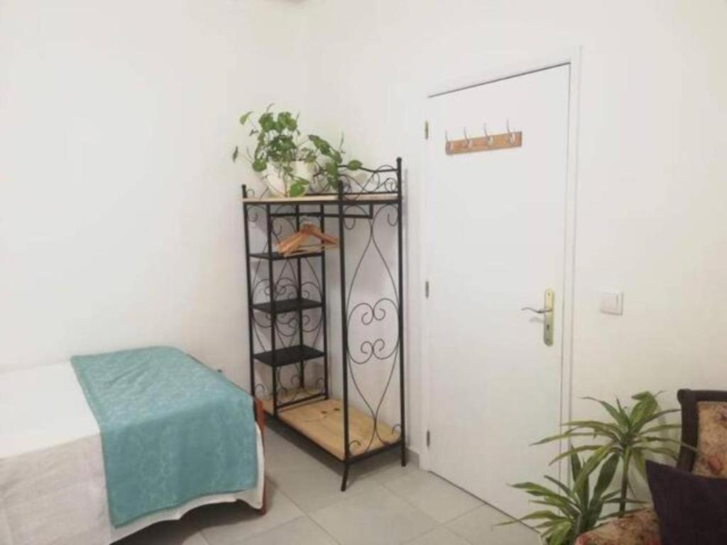 Home & Flower - Private Bedrooms Funchal Exteriér fotografie
